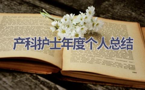 产科护士年度个人总结16篇范文