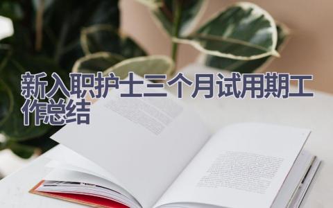 新入职护士三个月试用期工作总结3篇范文