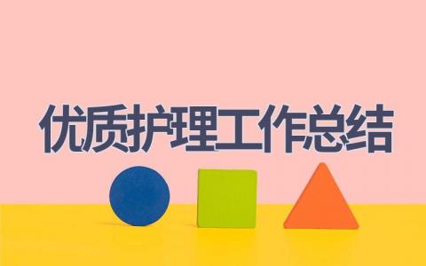 2023年优质护理工作总结6篇范文