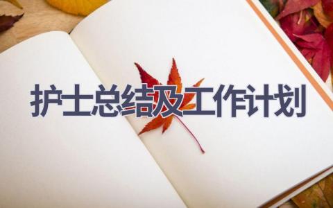 护士总结及2023年工作计划13篇范文