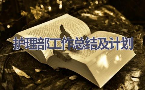 2023年护理部工作总结及计划17篇范文