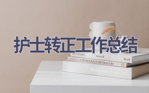 护士转正工作总结11篇范文