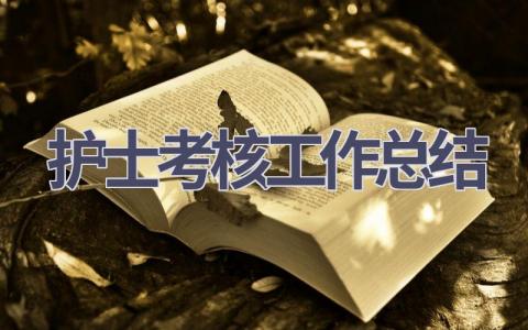 护士考核工作总结20篇范文