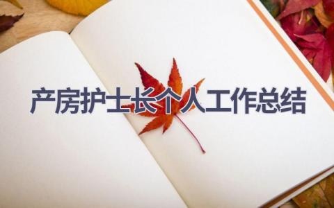 产房护士长个人工作总结4篇范文