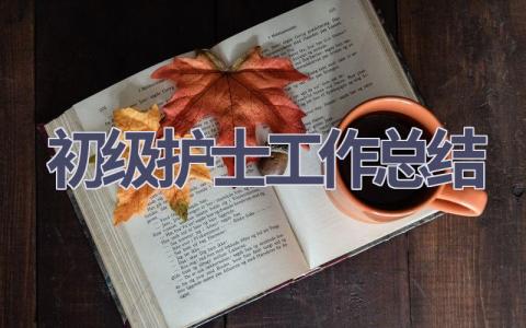 初级护士工作总结9篇范文