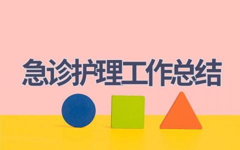 2024急诊护理工作总结9篇范文